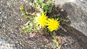 いつの間にか、春