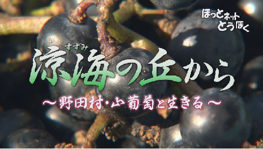あす放送「涼海の丘から~野田村・山葡萄と生きる~」