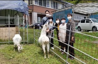 ヤギと一緒に街を元気に!